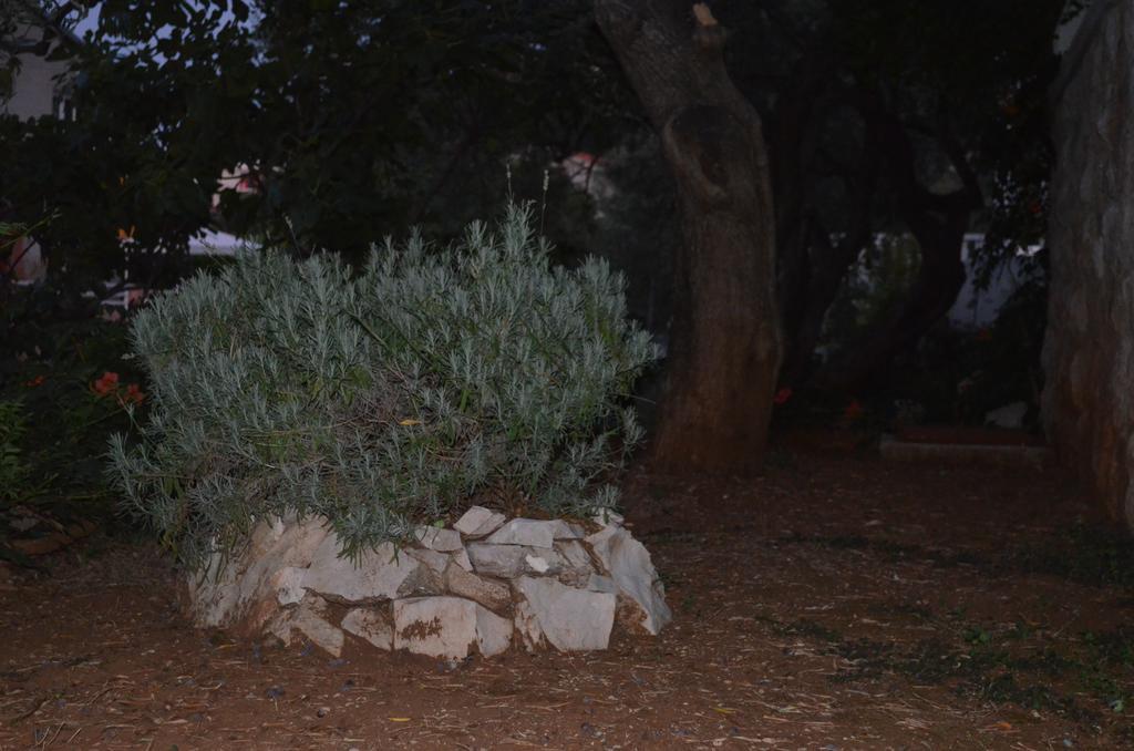 Apartmants Bubalo Trpanj Habitación foto